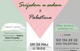 Bemufova akcija za Palestinu