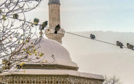 Novi Bilten IZBUŠ-a